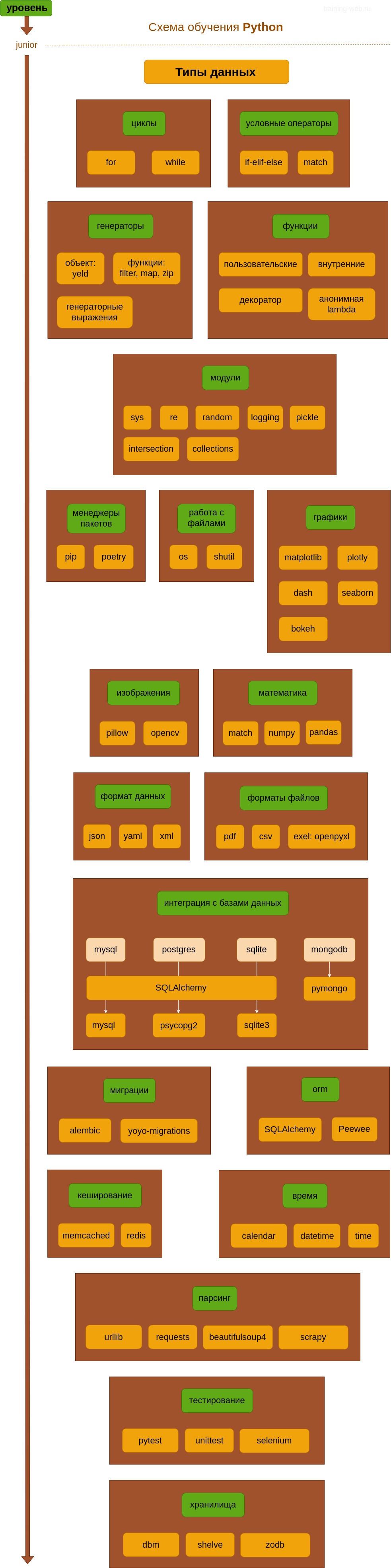 схема обучения junior Python